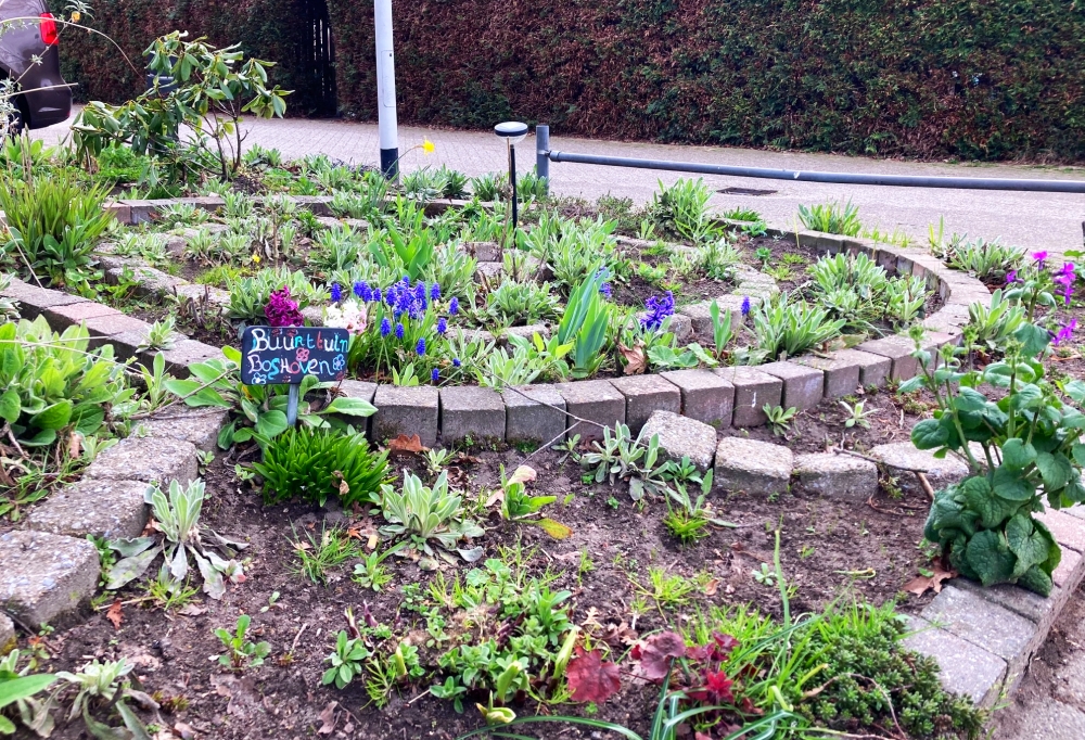 Foto: 'Buurttuin Boshoven'.